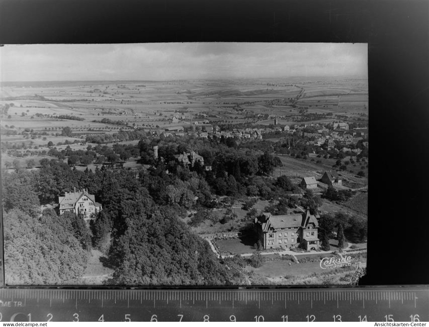 30080813 - Kirchheimbolanden