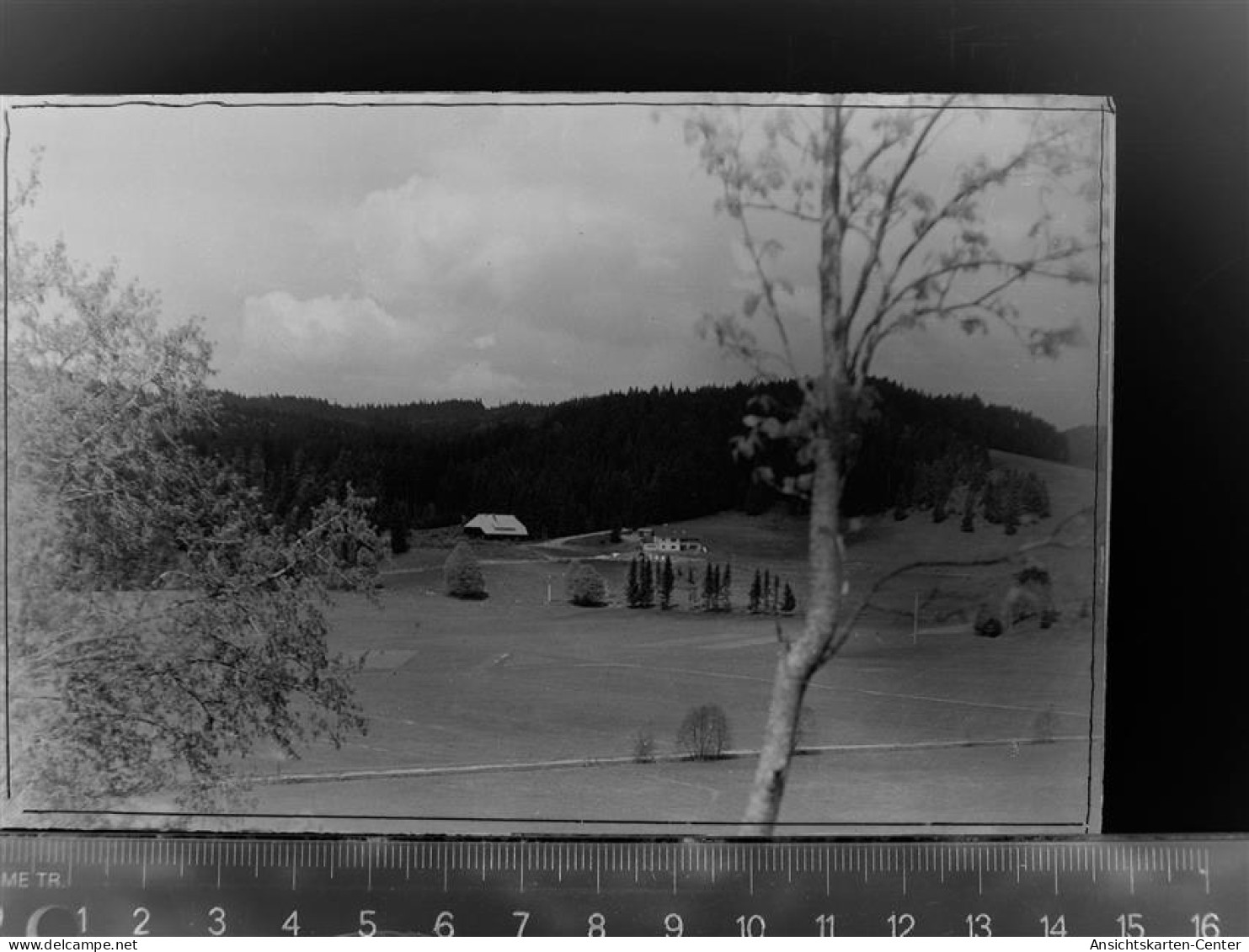 30081330 - St Blasien