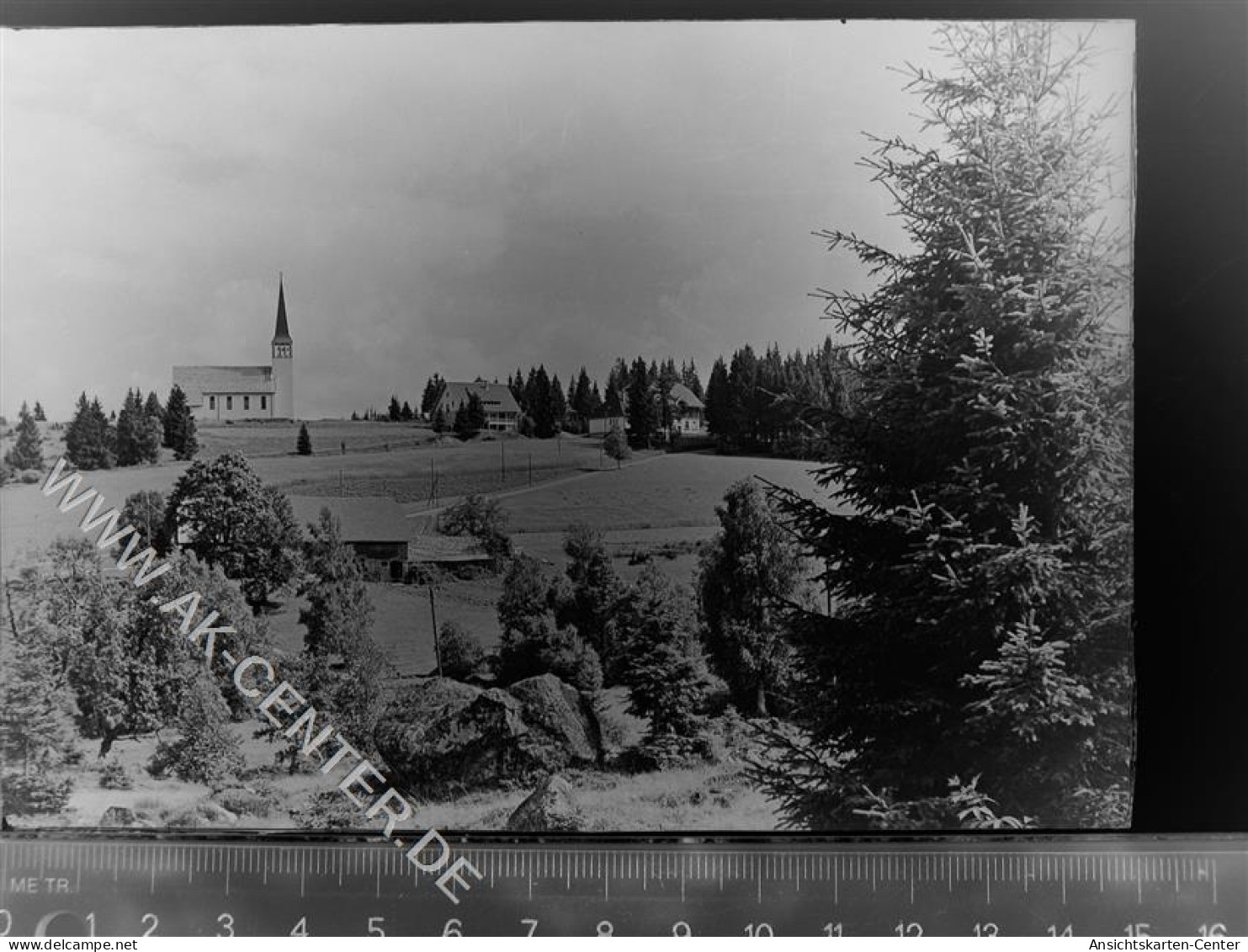 30081371 - St Blasien