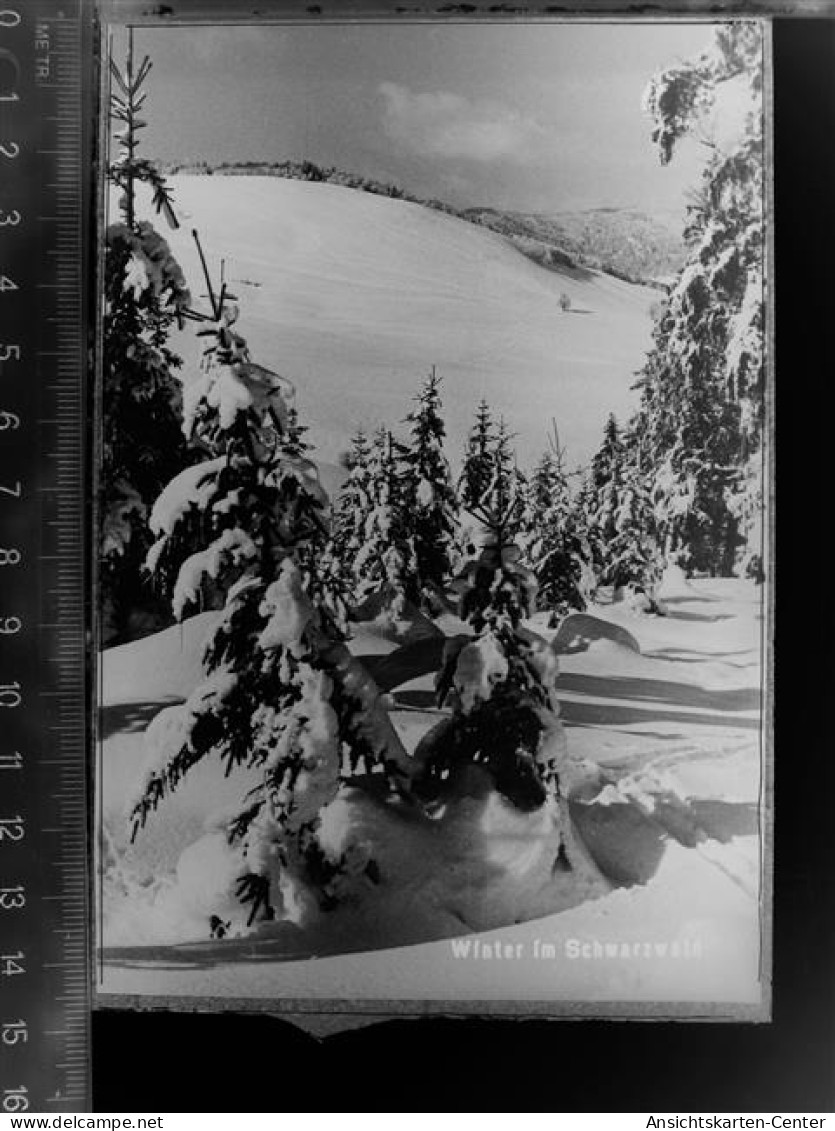 30081403 - St Blasien