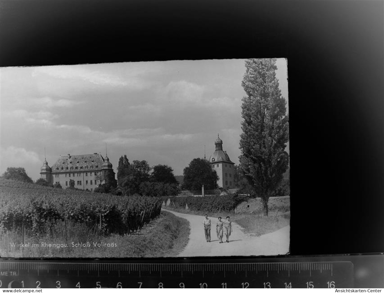 30084879 - Oestrich-Winkel