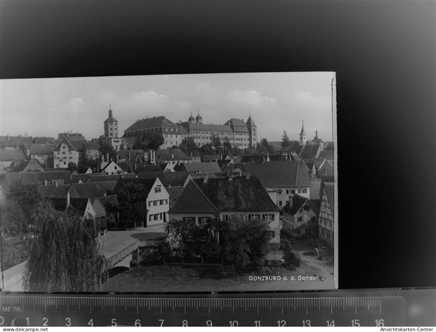 30084960 - Guenzburg