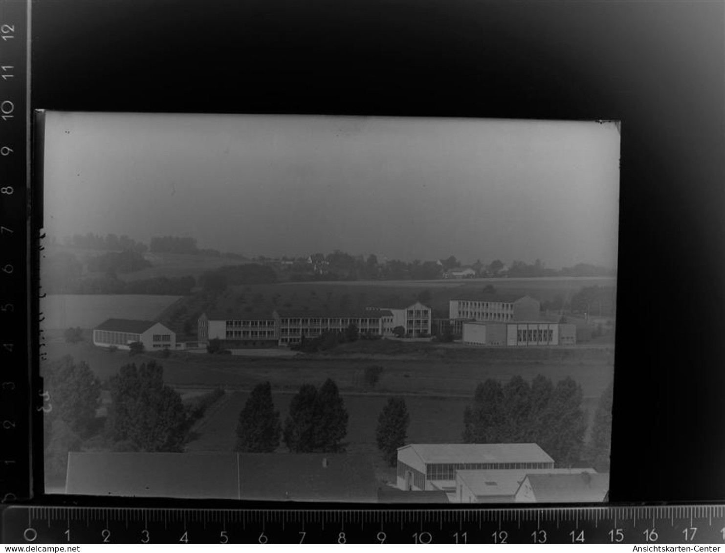 30088486 - Waldbroel