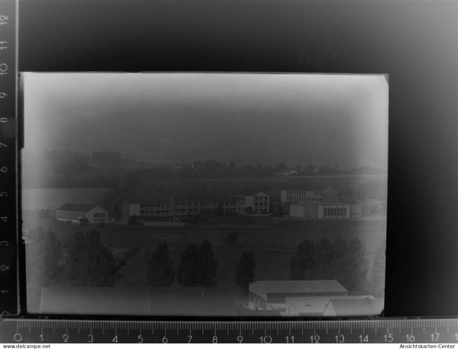 30088488 - Waldbroel