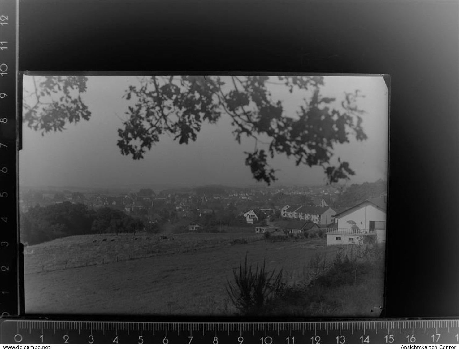 30088495 - Waldbroel