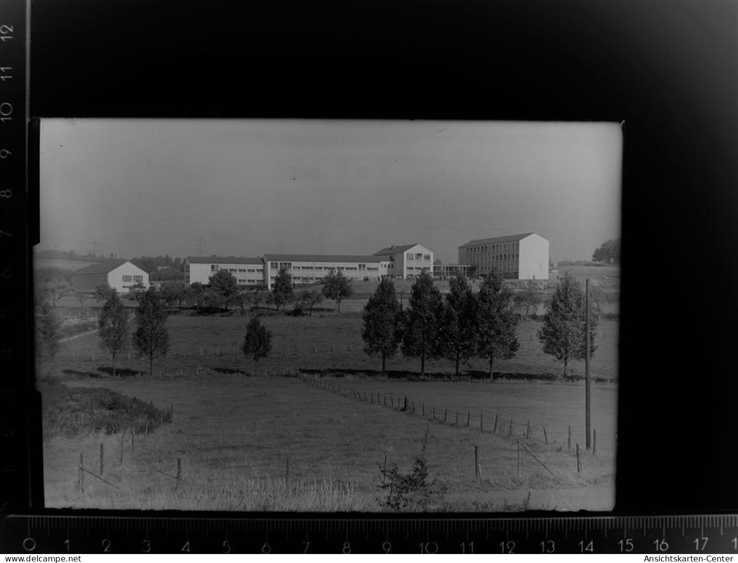 30088504 - Waldbroel