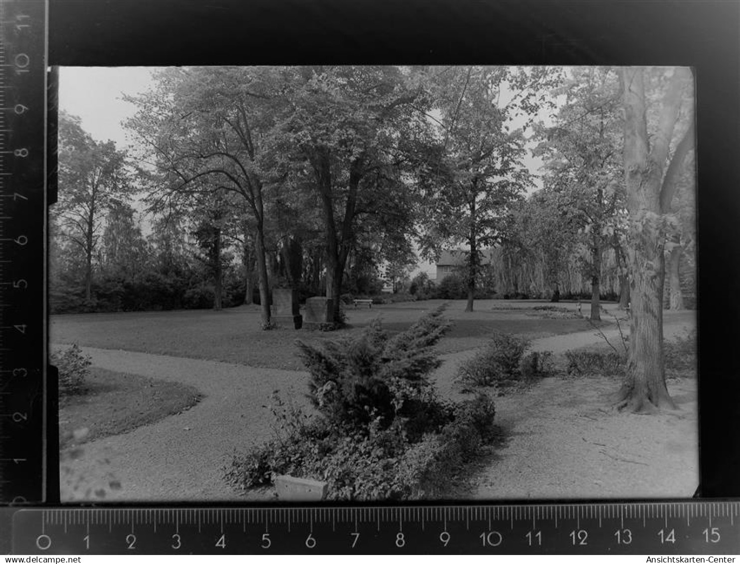 30091474 - Wiedenbrueck