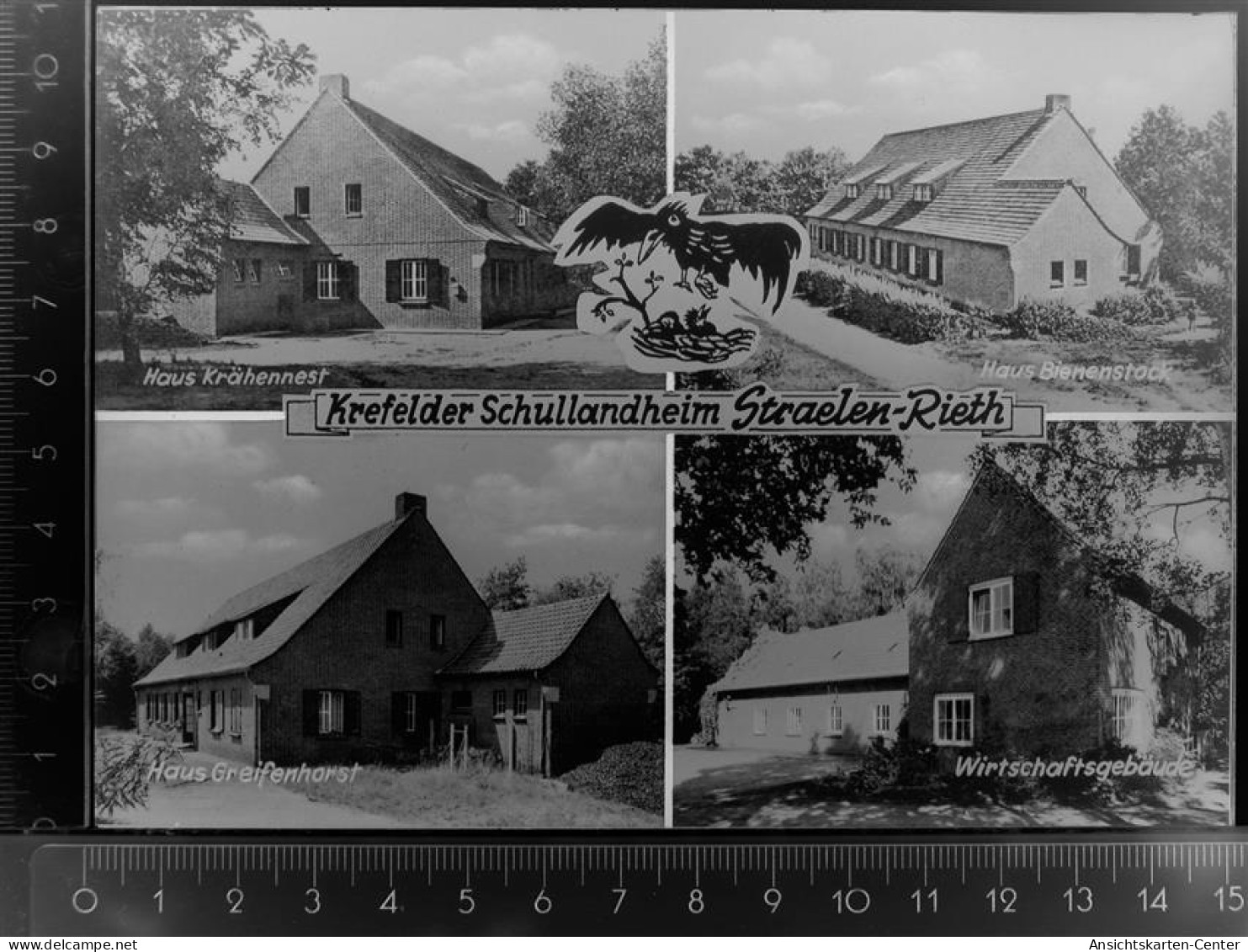 30099612 - Herongen