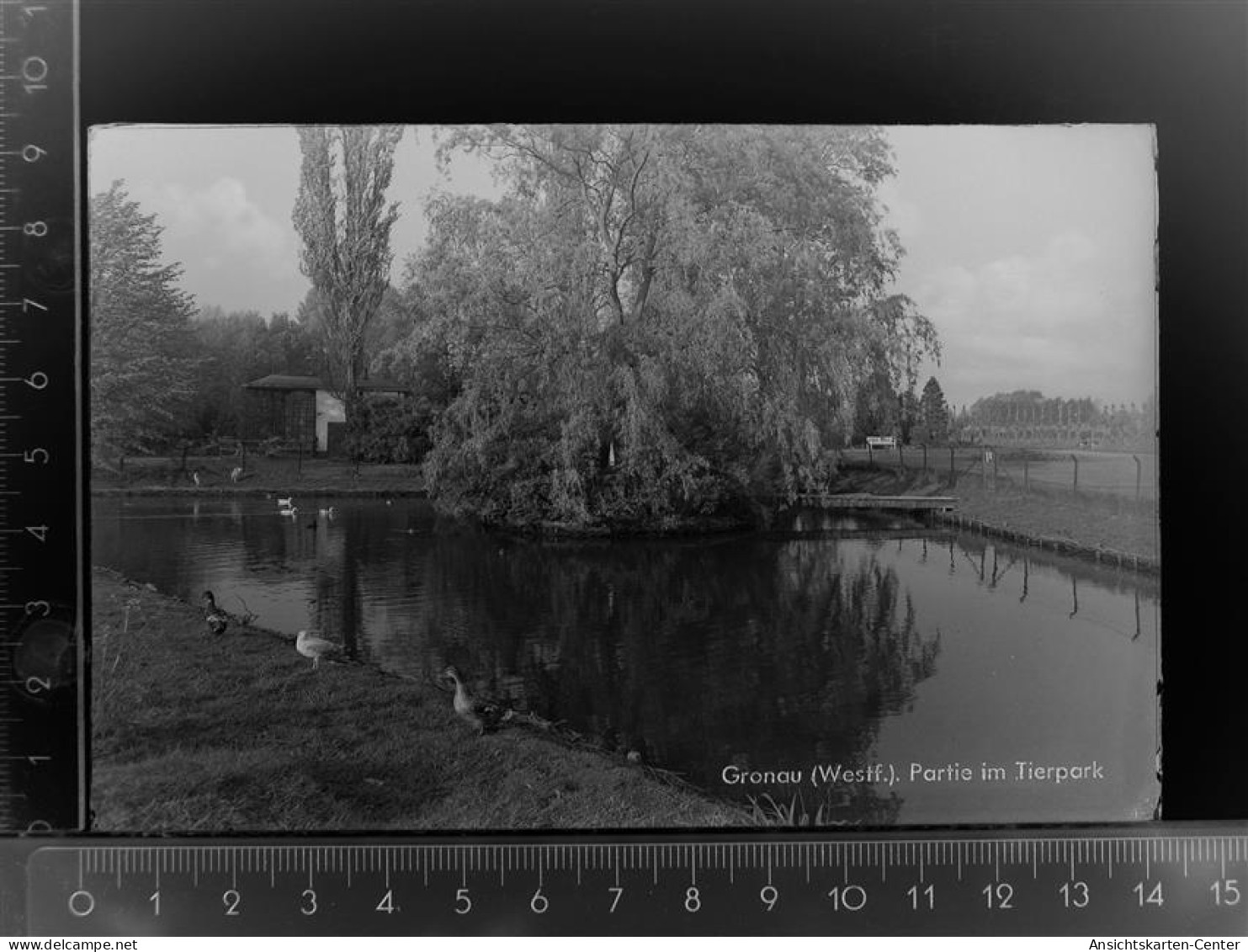 30100131 - Gronau (Westf.)