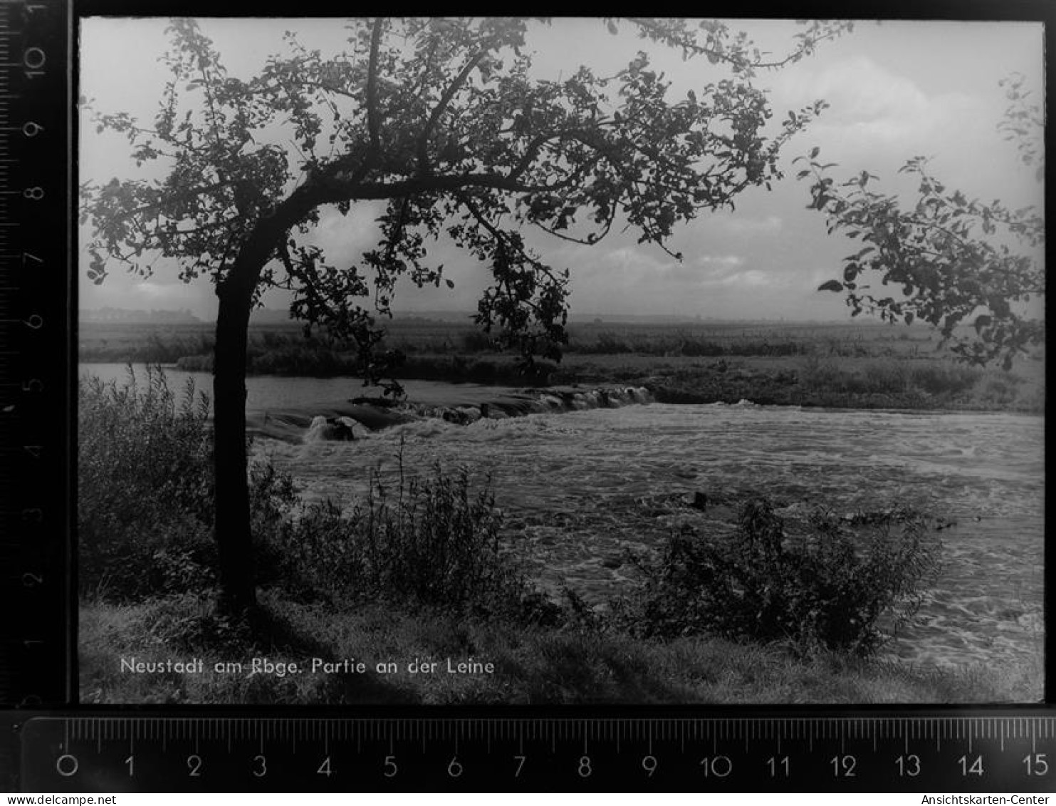 30100346 - Neustadt am Ruebenberge