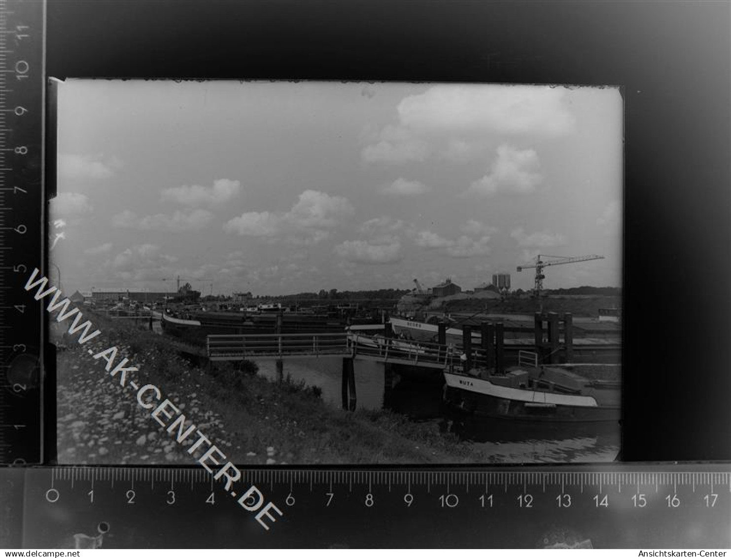 30105944 - Haren (Ems)