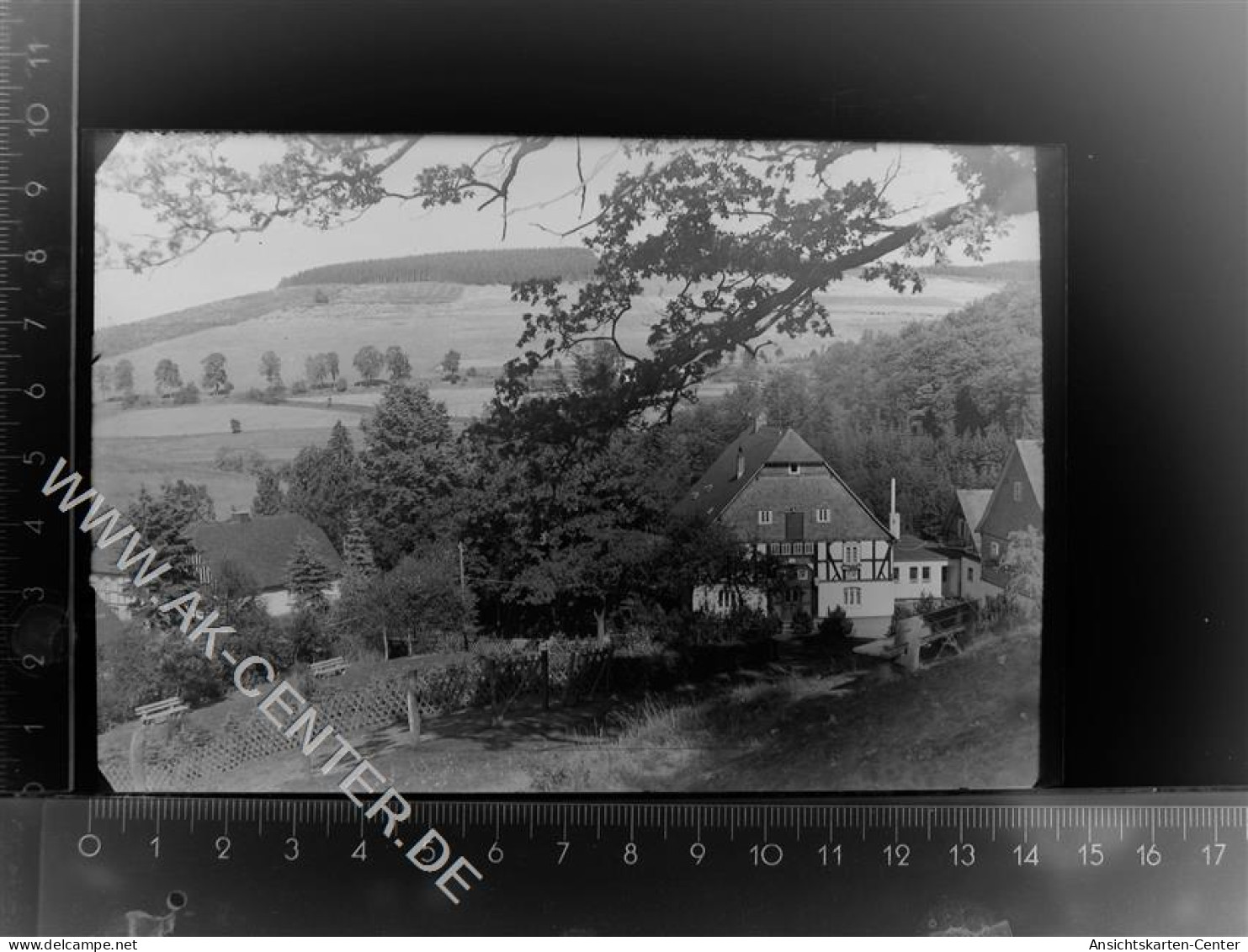 30105965 - Schmallenberg