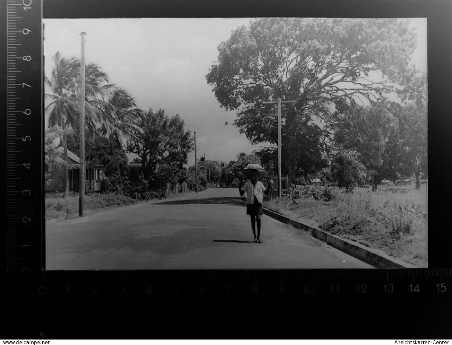 30110654 - Kanada AK-Glasnegativ