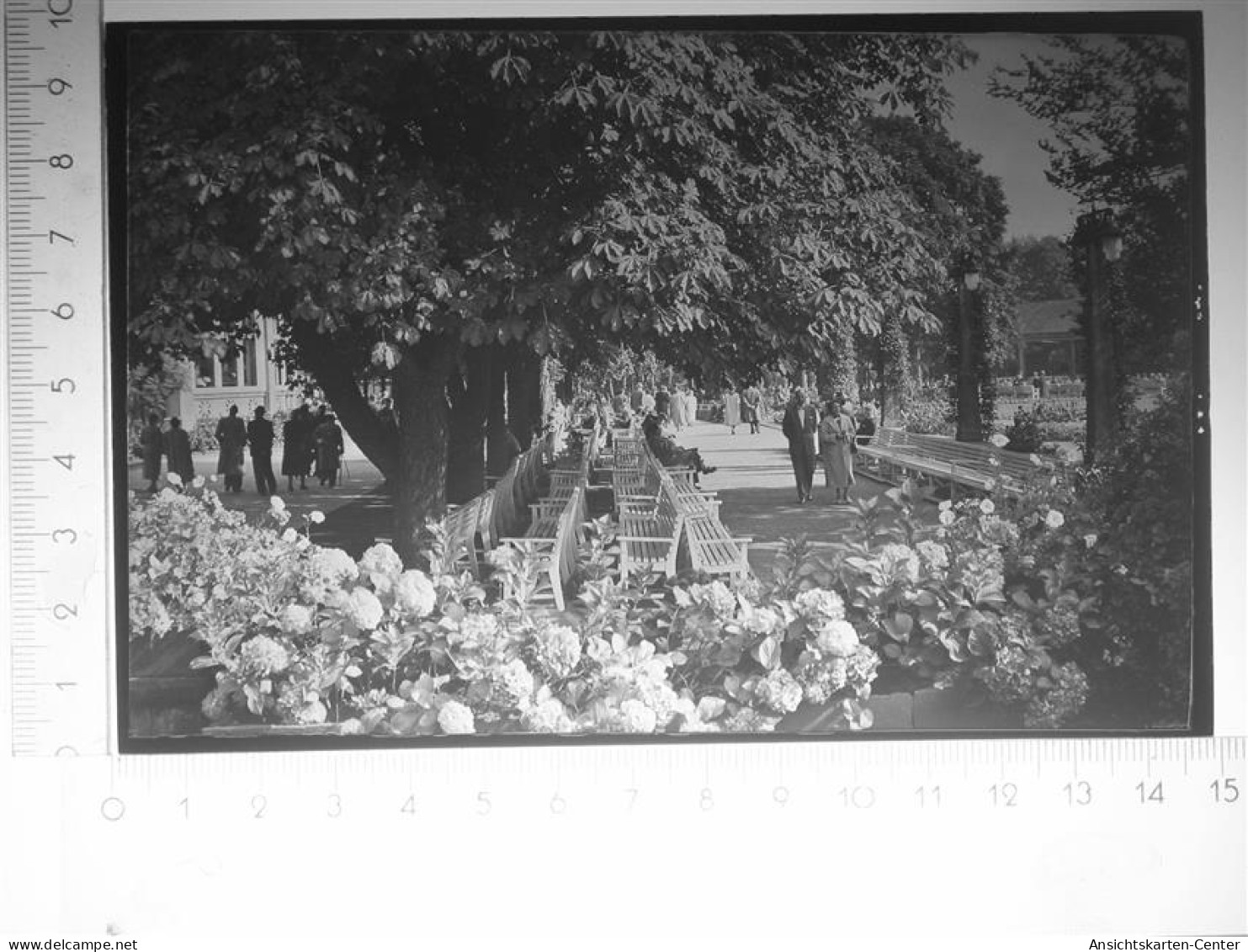 30112345 - Bad Salzuflen