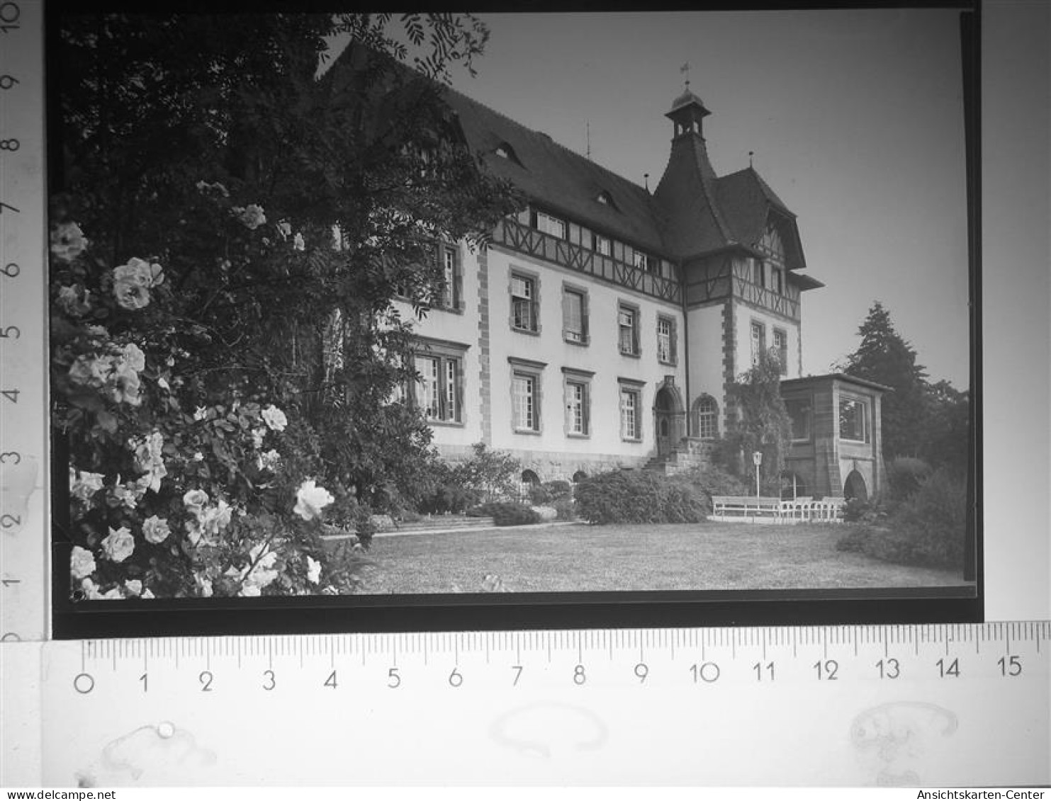 30113951 - Kirchheimbolanden