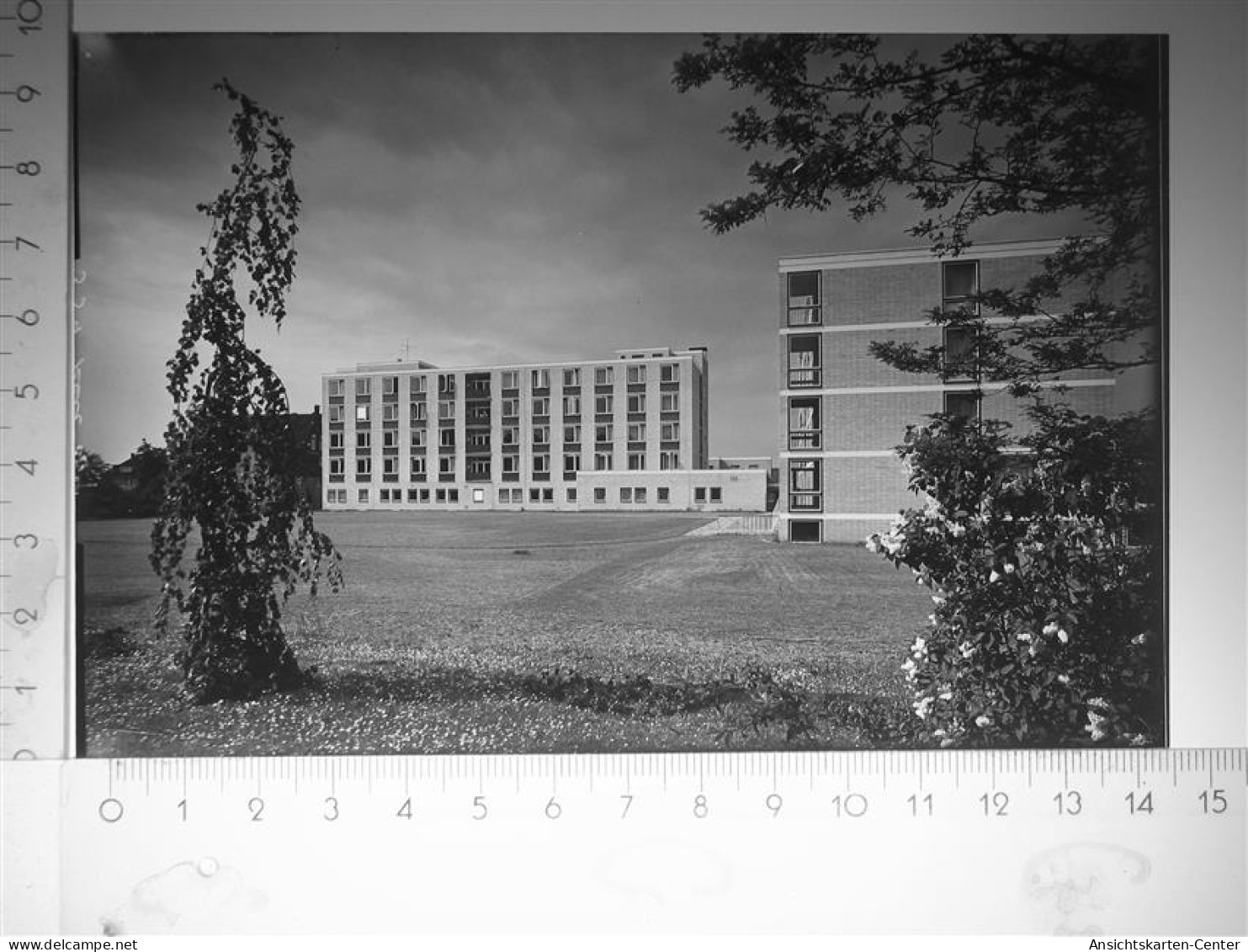 30115093 - Wiedenbrueck