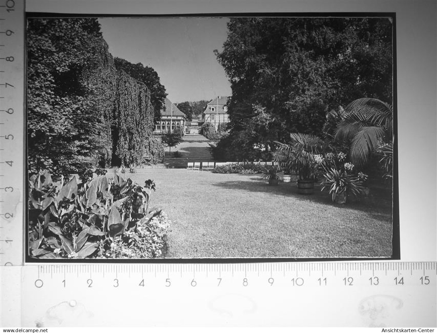 30115114 - Bad Meinberg