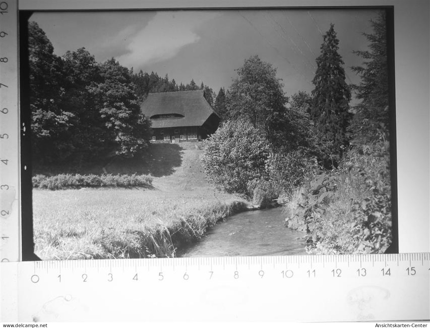 30116593 - Bad Teinach