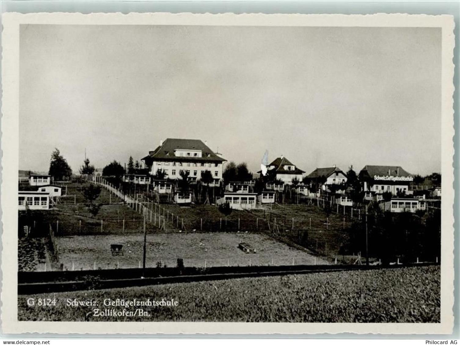 3052 Zollikofen - Schweiz. Geflügelzuchtschule - 13137531