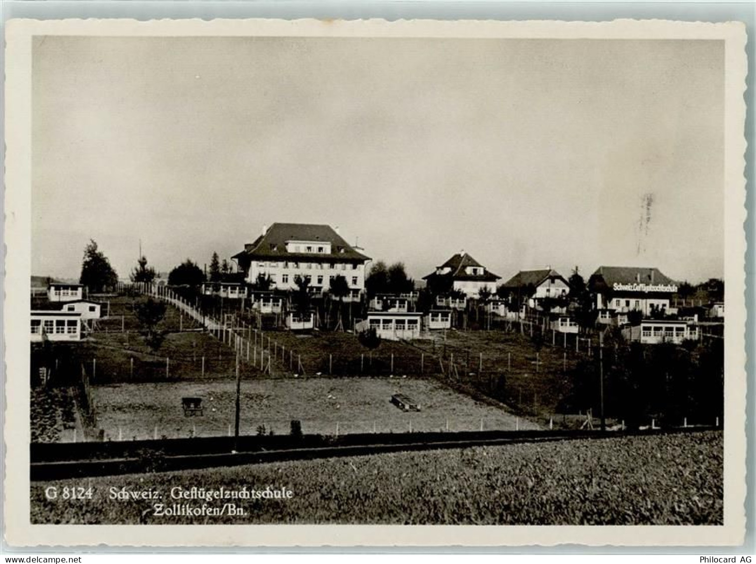 3052 Zollikofen - Schweiz. Geflügelzuchtschule - 13137546
