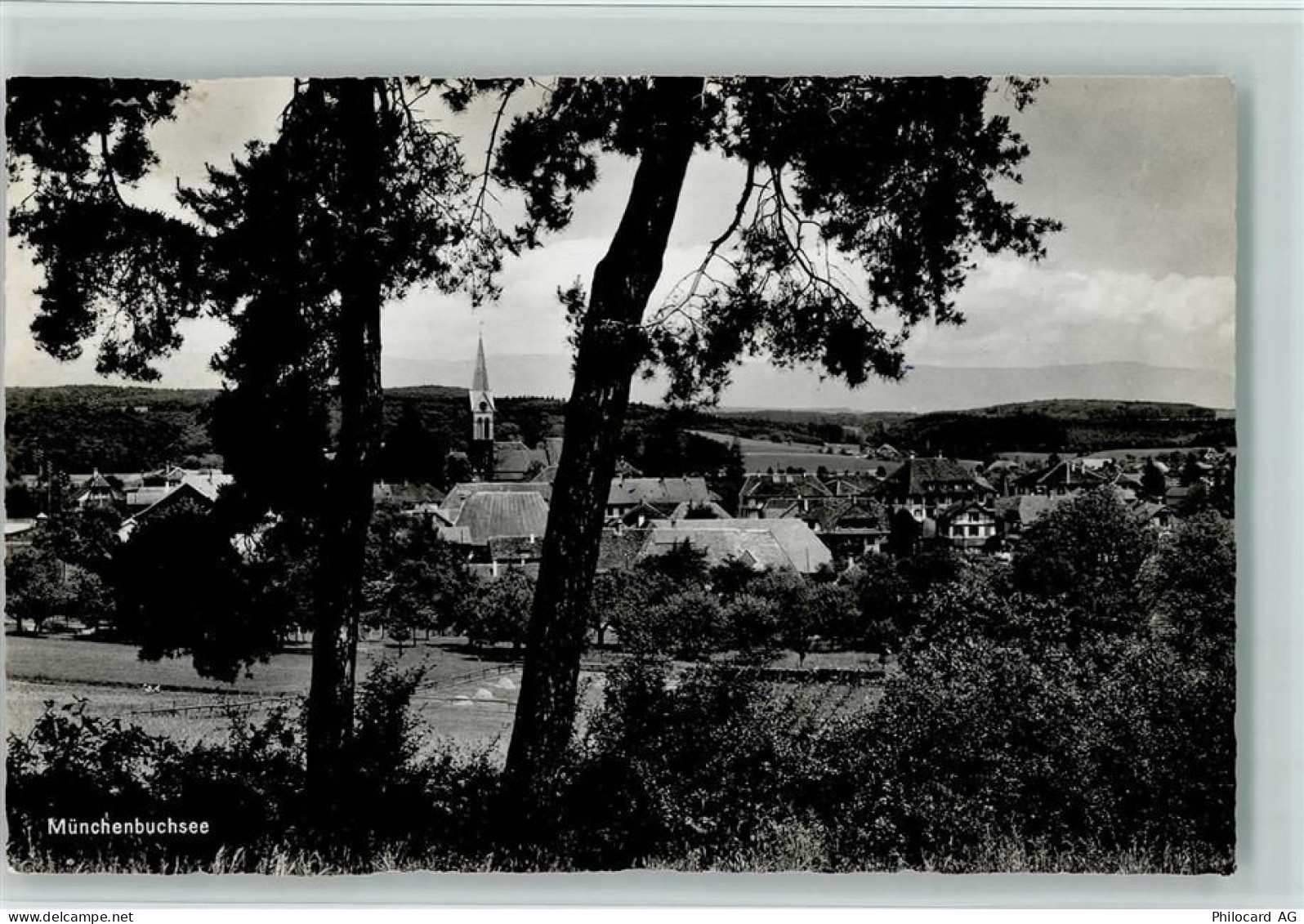 3053 Münchenbuchsee - Bäume - 11063957