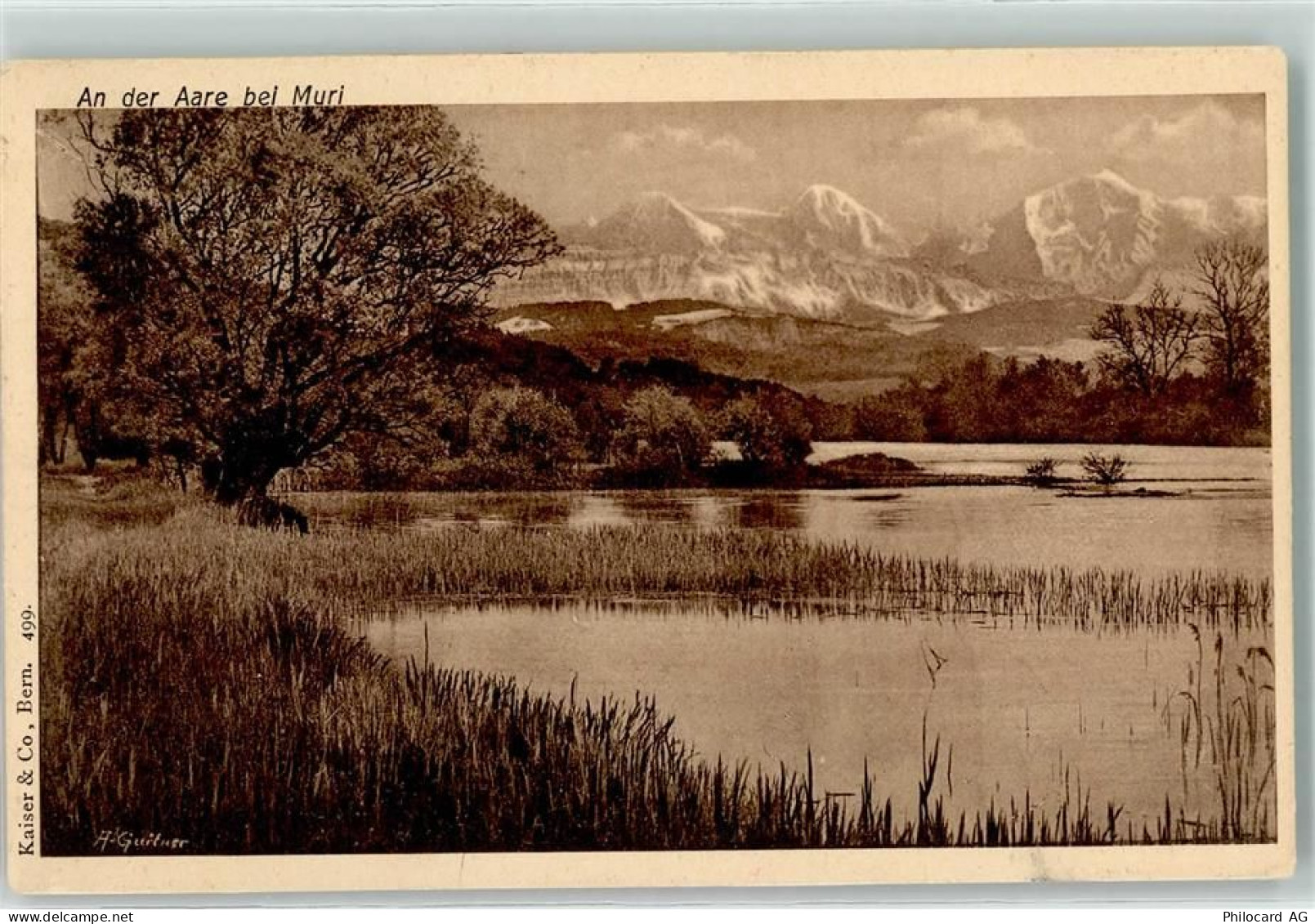 3074 Muri b. Bern 1909 - An der Aare sign. A Gurtner - 10618862