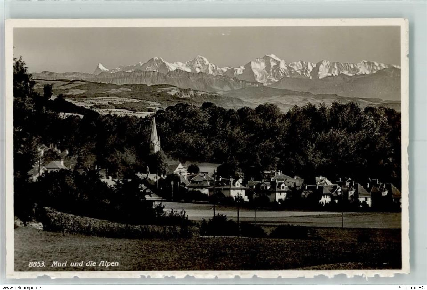 3074 Muri b. Bern - Alpenkette - 10304462