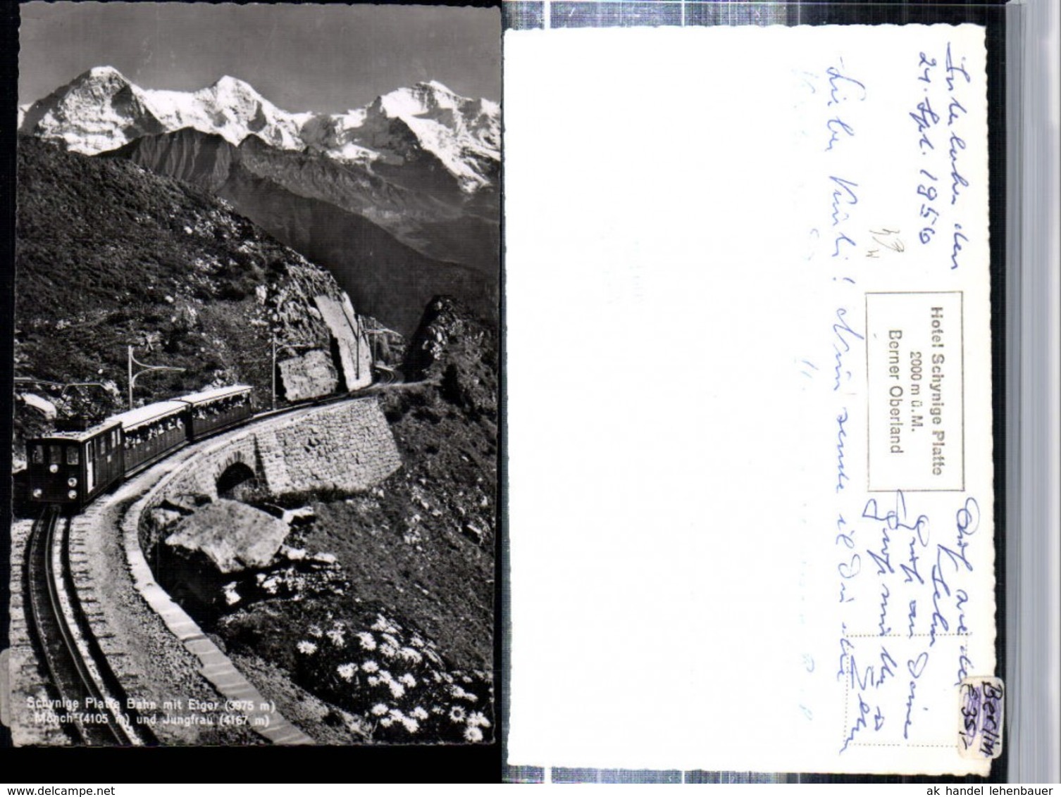 309476,Schynige Platte b. G&uuml;ndlischwand Zahnradbahn m. Eiger M&ouml;nch Jungfrau Bergkulis