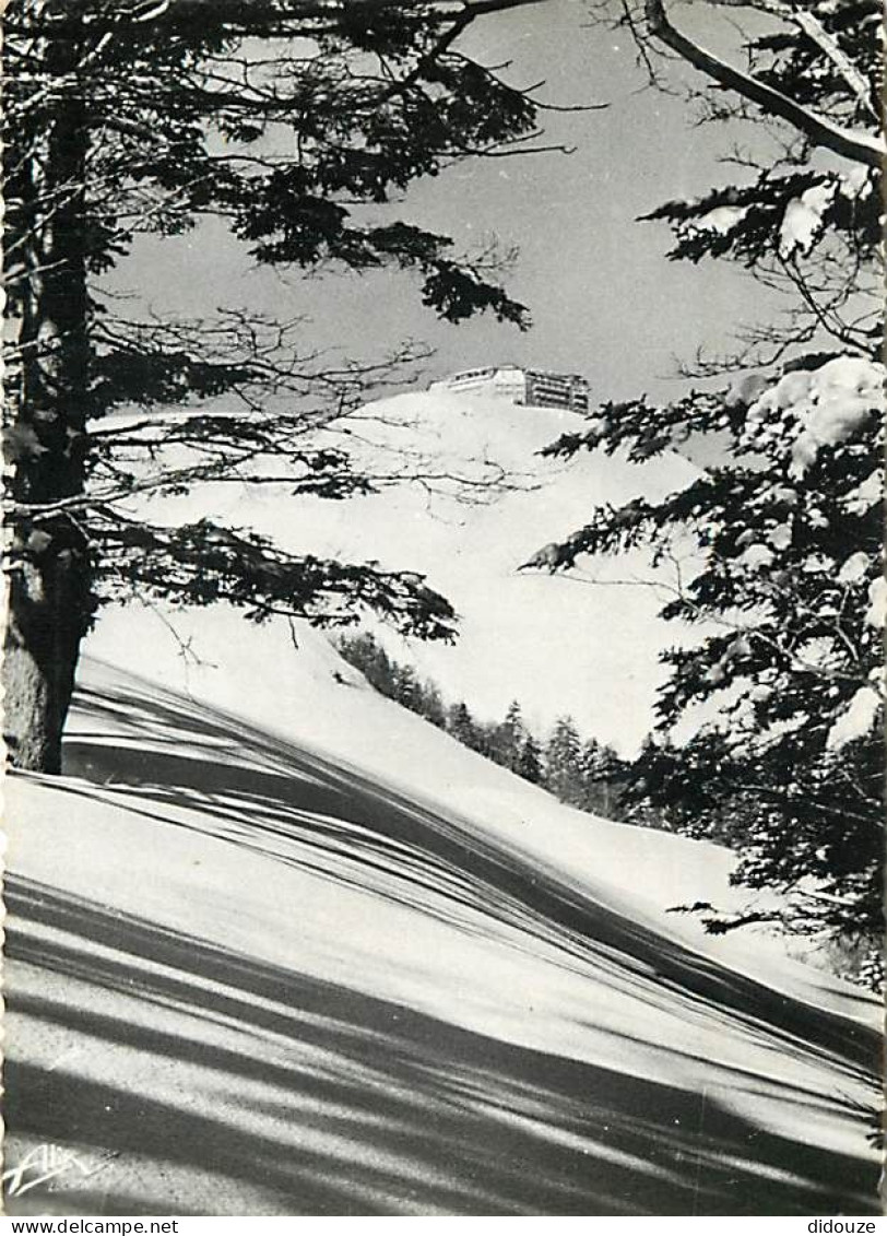 31 - Luchon - Superbagnères - Le Grand Hôtel de Superbagnères - Mention Photographie véritable - Carte dentelée - CPSM g