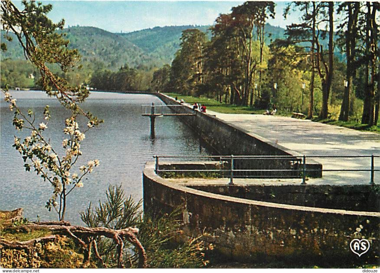 31 - Saint Ferreol - CPM - Voir Scans Recto-Verso