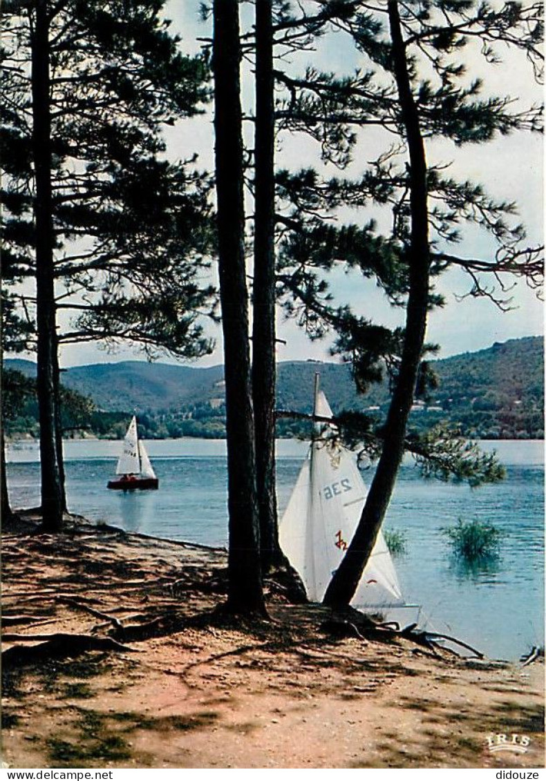 31 - Saint Ferreol - CPM - Voir Scans Recto-Verso