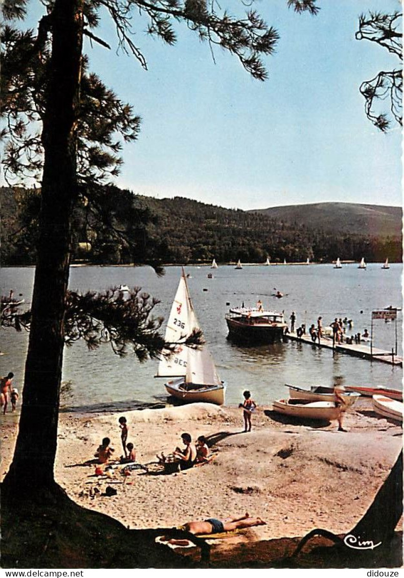 31 - Saint Ferreol - CPM - Voir Scans Recto-Verso