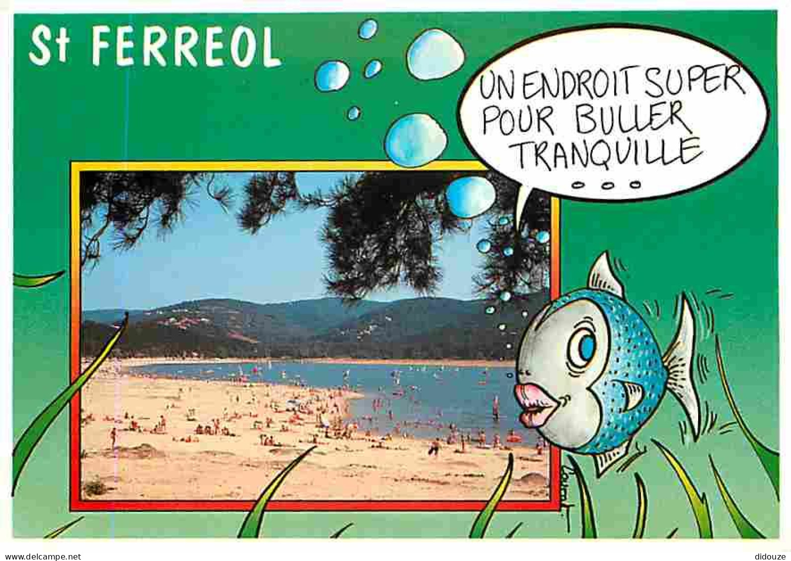 31 - Saint Ferreol - La Plage - CPM - Voir Scans Recto-Verso