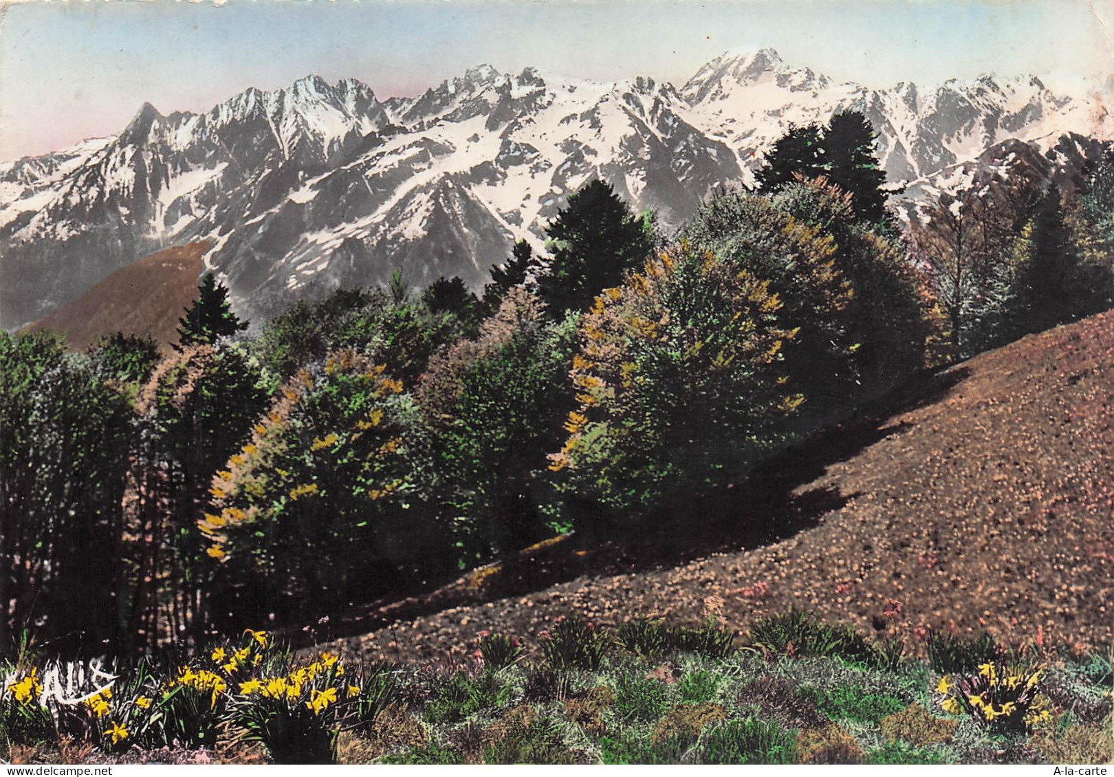 31 SUPERBAGNERES PLATEAU DE SUPERBAGNERES