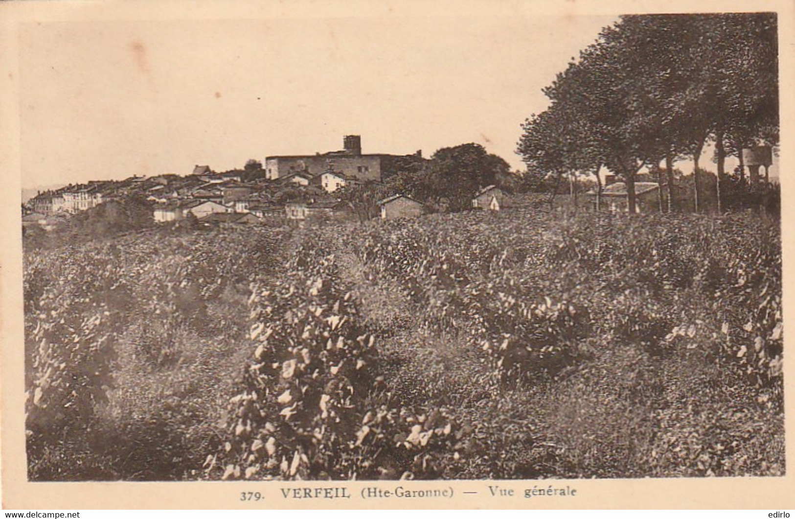 ***  31 ***   VERFEIL  vue générale écrite TTB