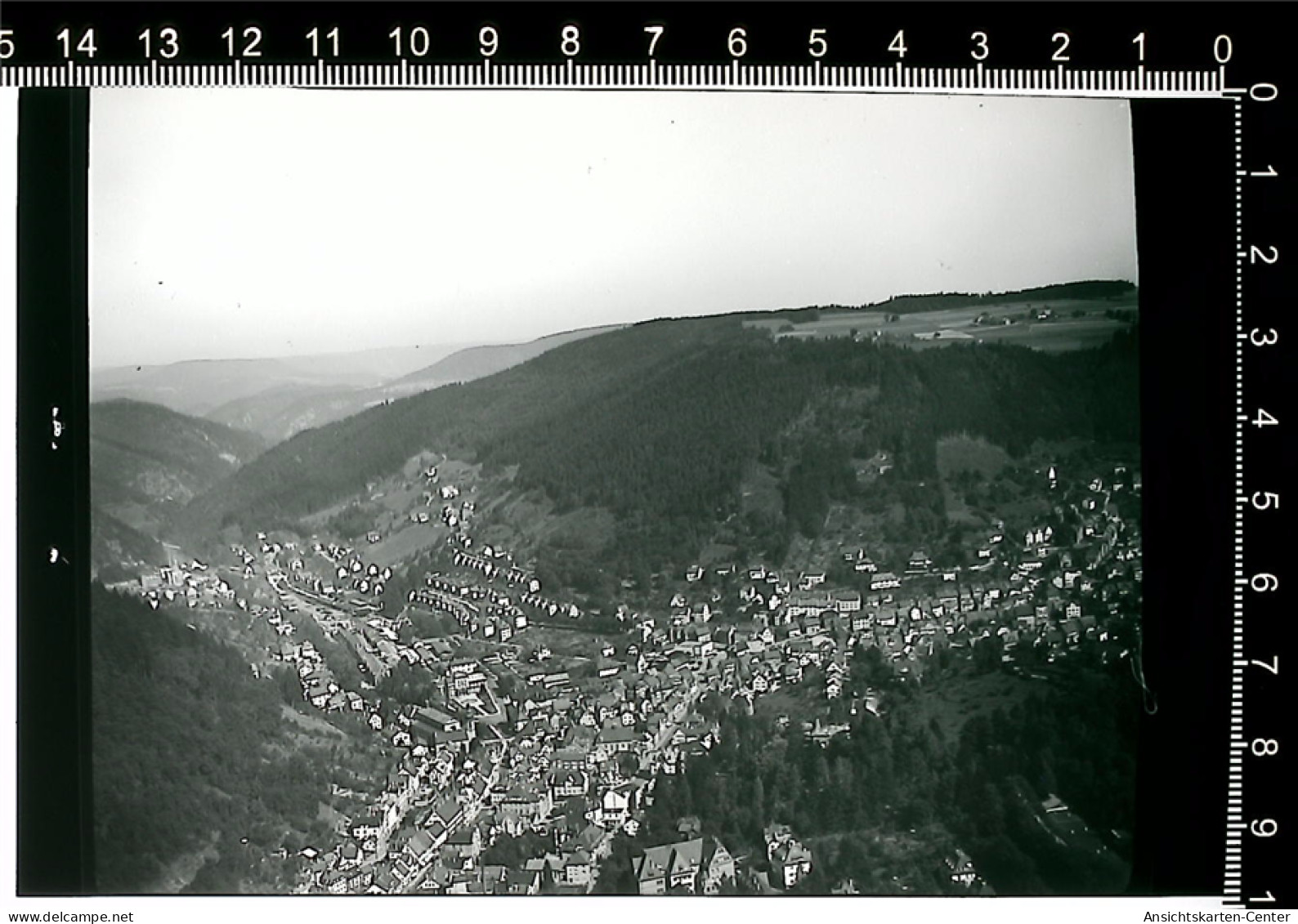 31001277 - Schramberg