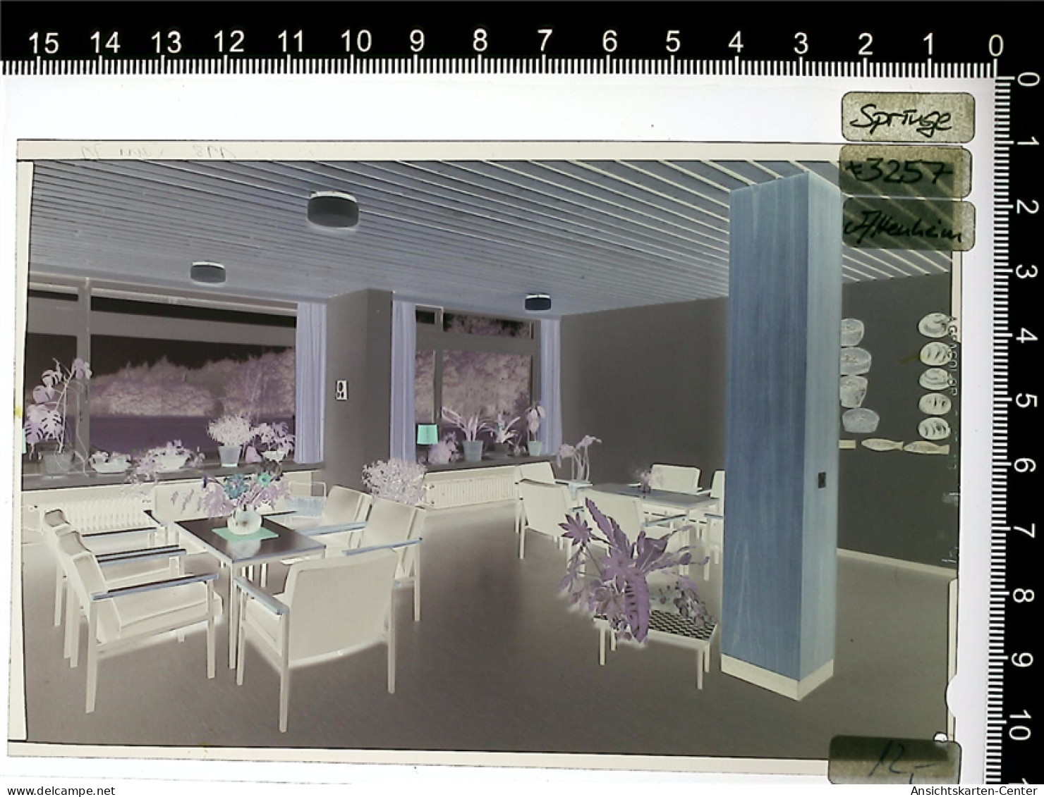 31001358 - Springe , Deister