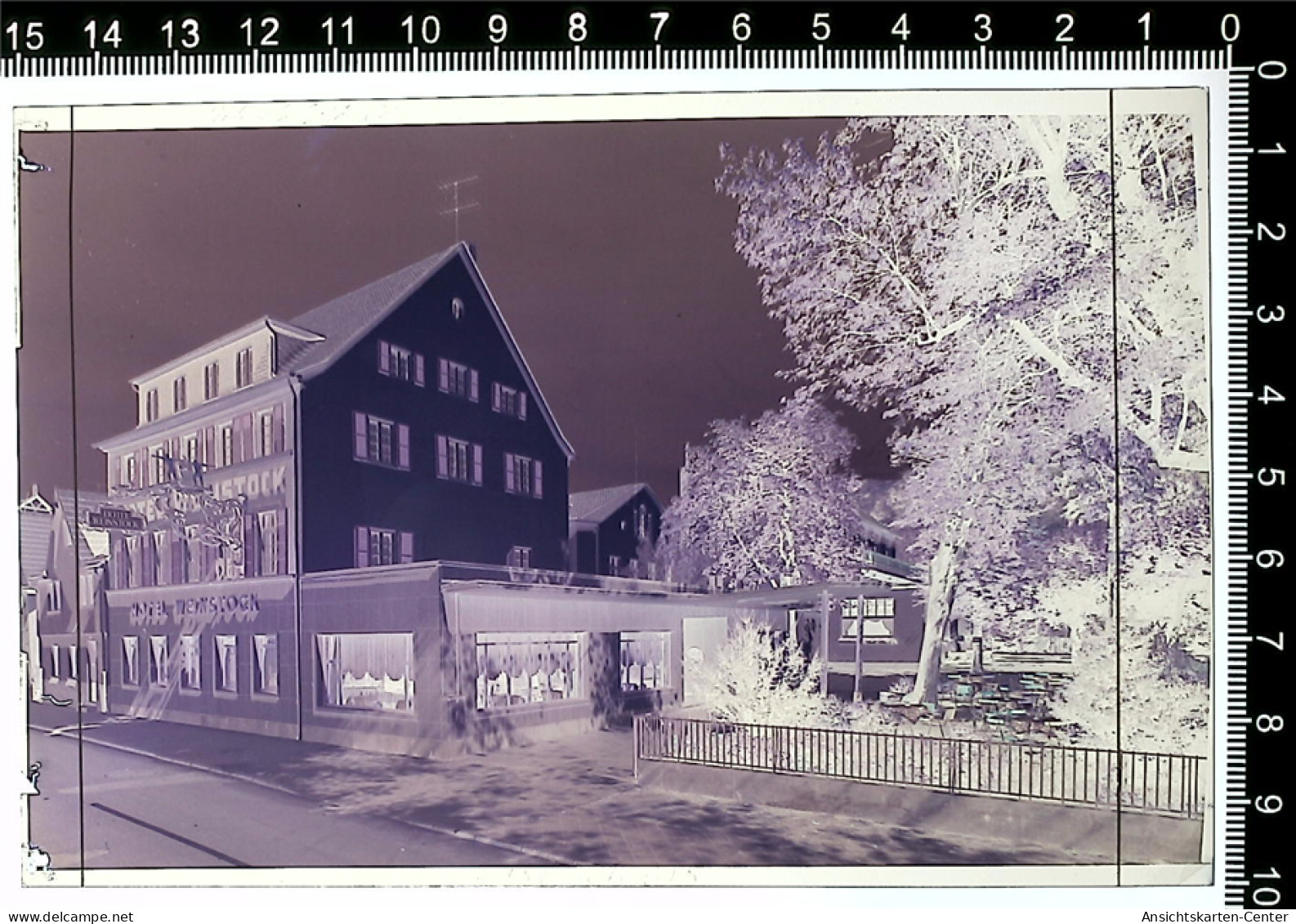 31001640 - Linz a Rhein