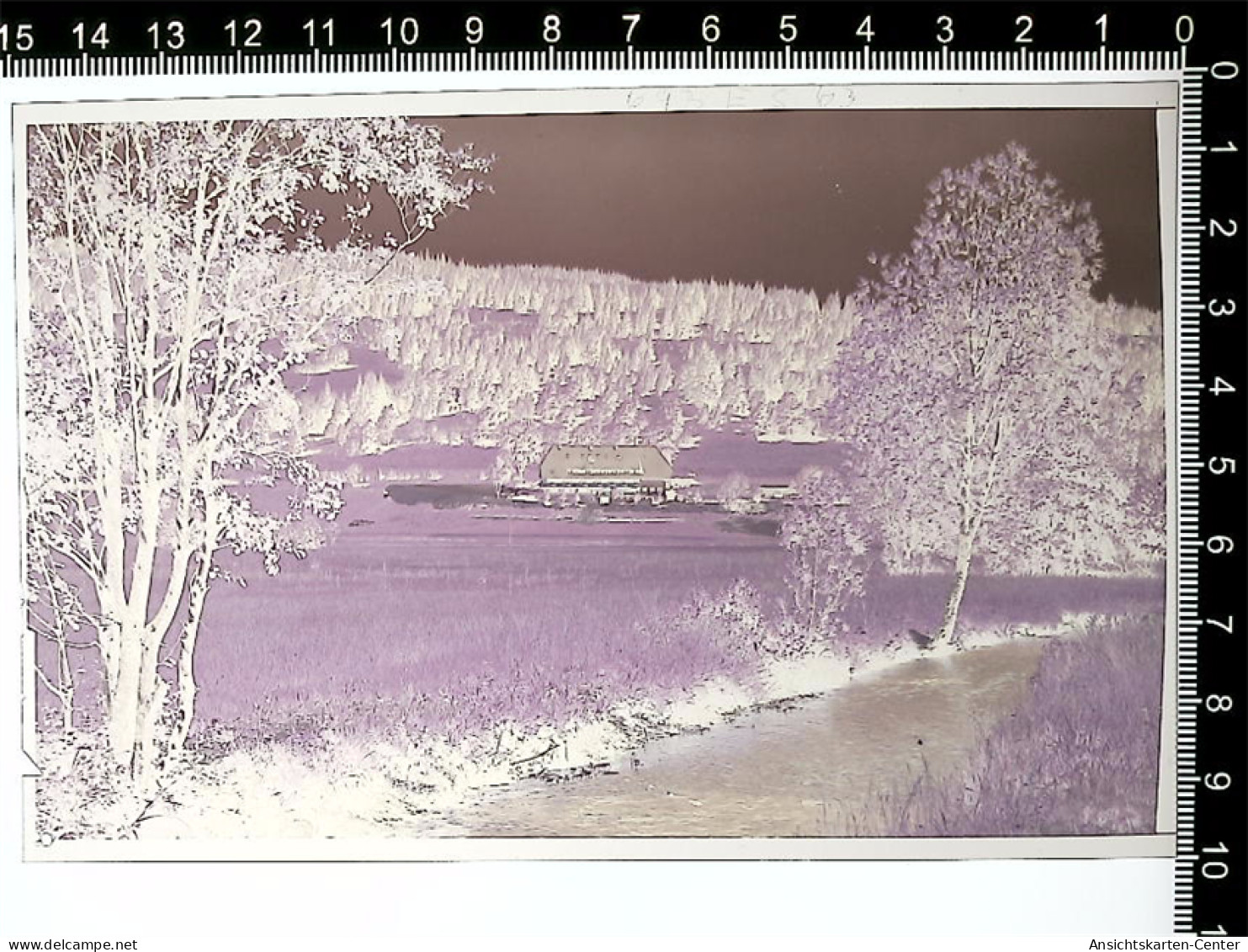 31002666 - Hinterzarten