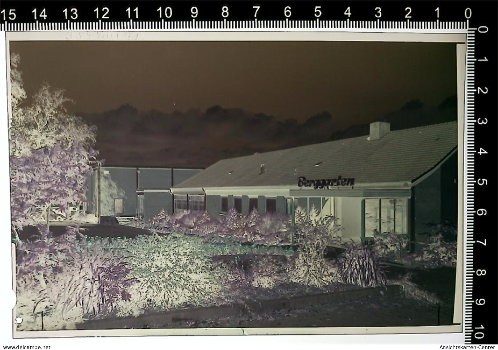 31003789 - Seesen , Harz