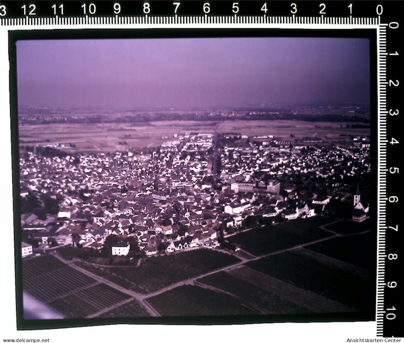 31003983 - Hochheim am Main