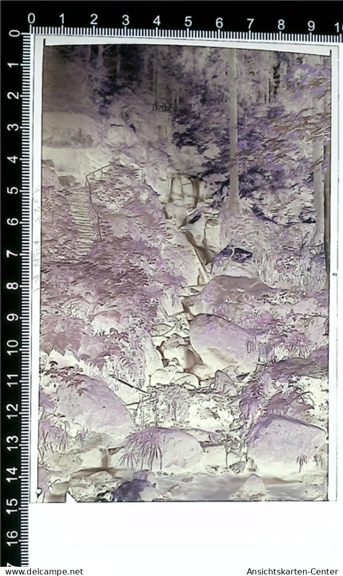 31004971 - Buehlertal