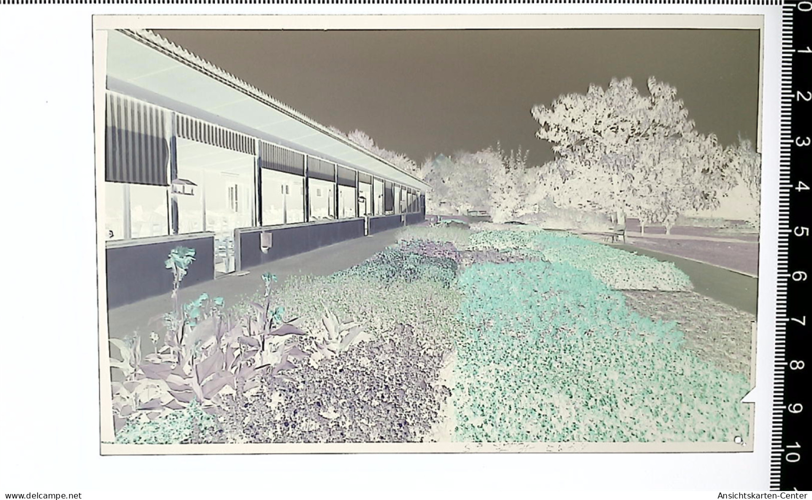 31004979 - Buehlertal