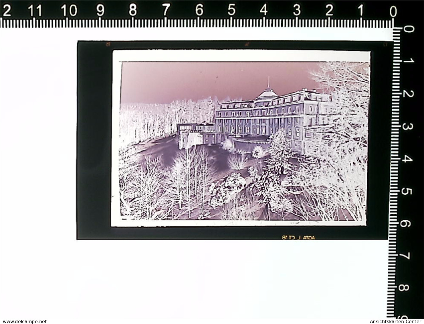 31004993 - Buehlertal