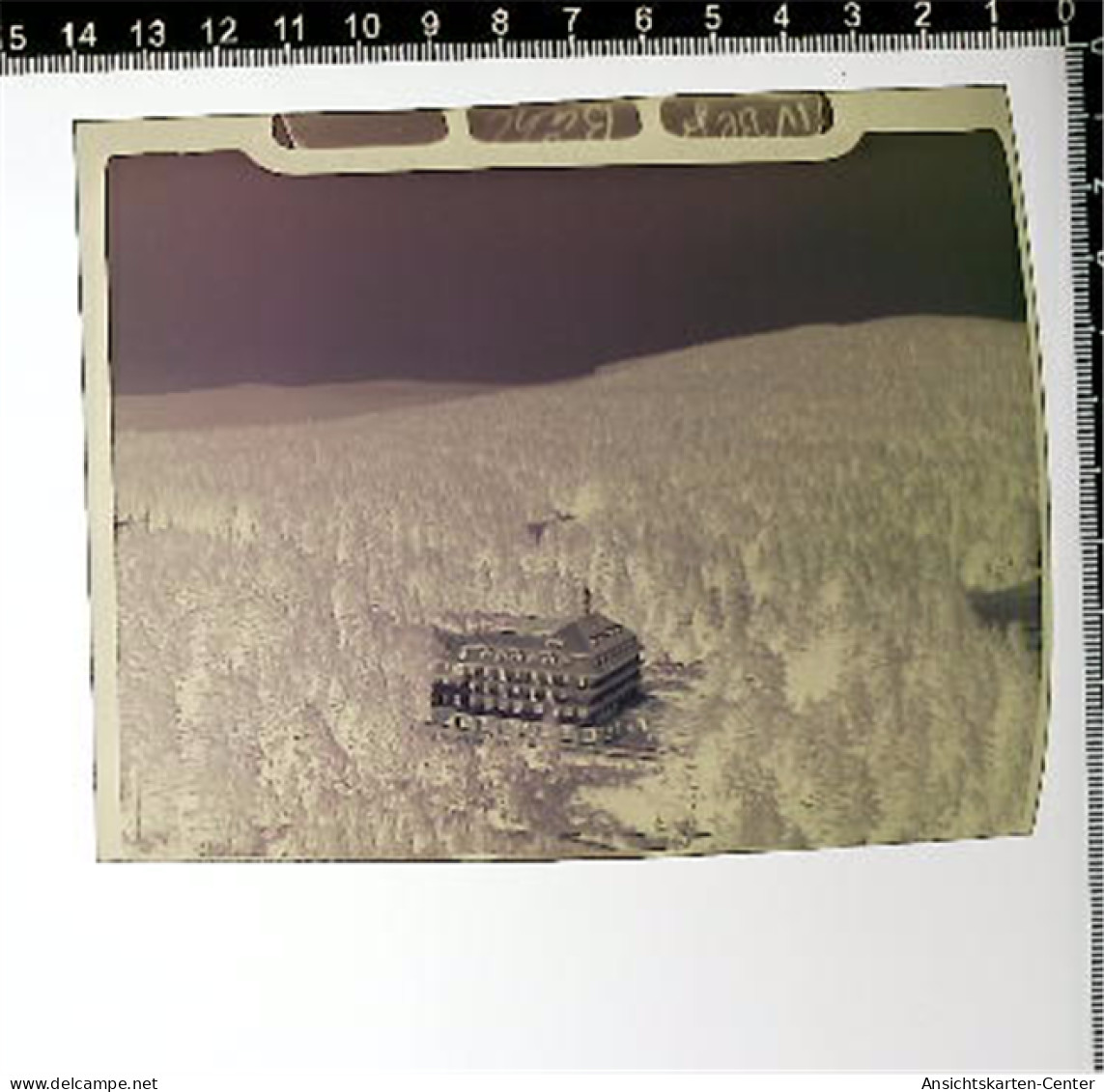 31005303 - Buehl , Baden