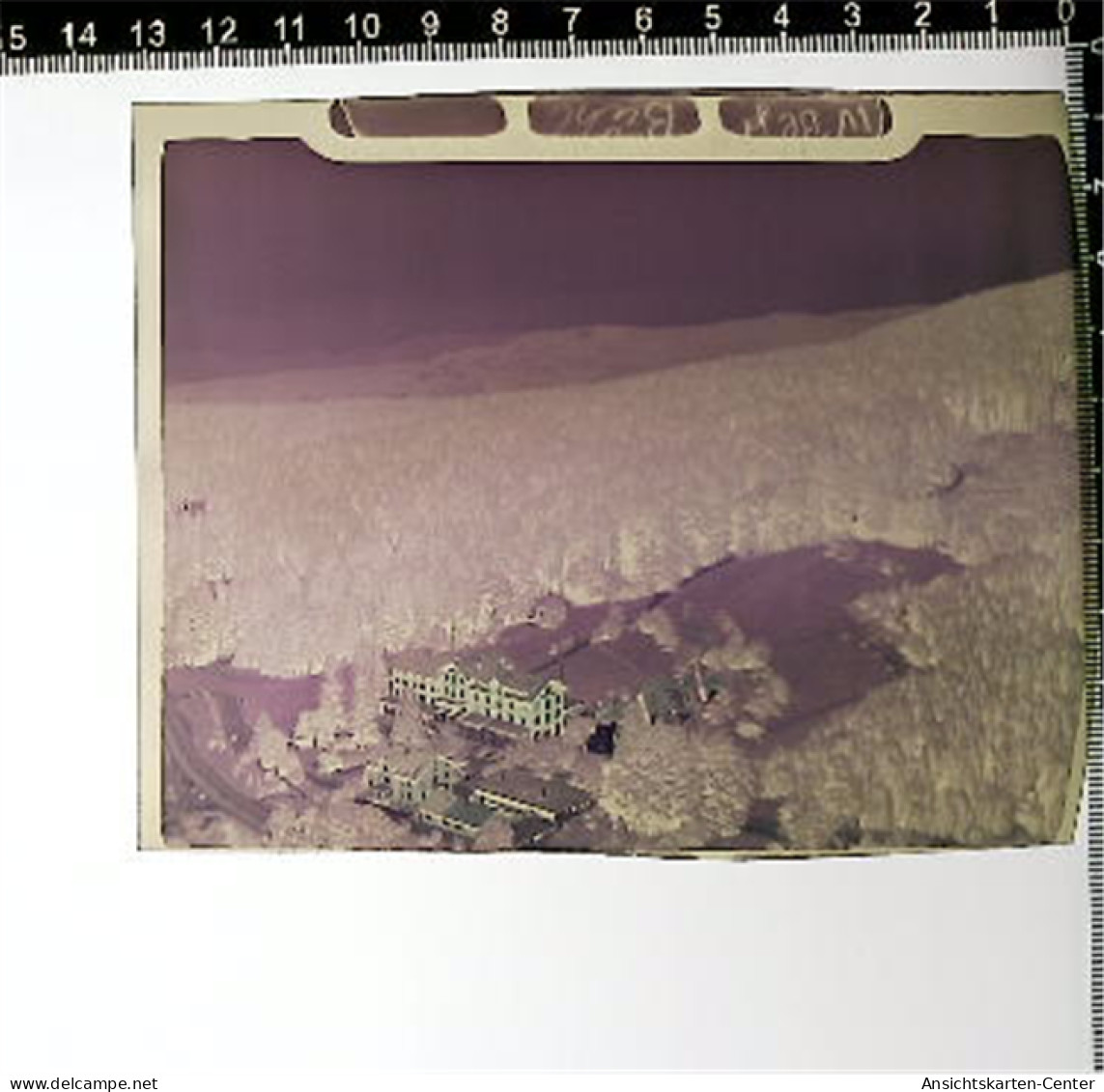 31005304 - Buehl , Baden