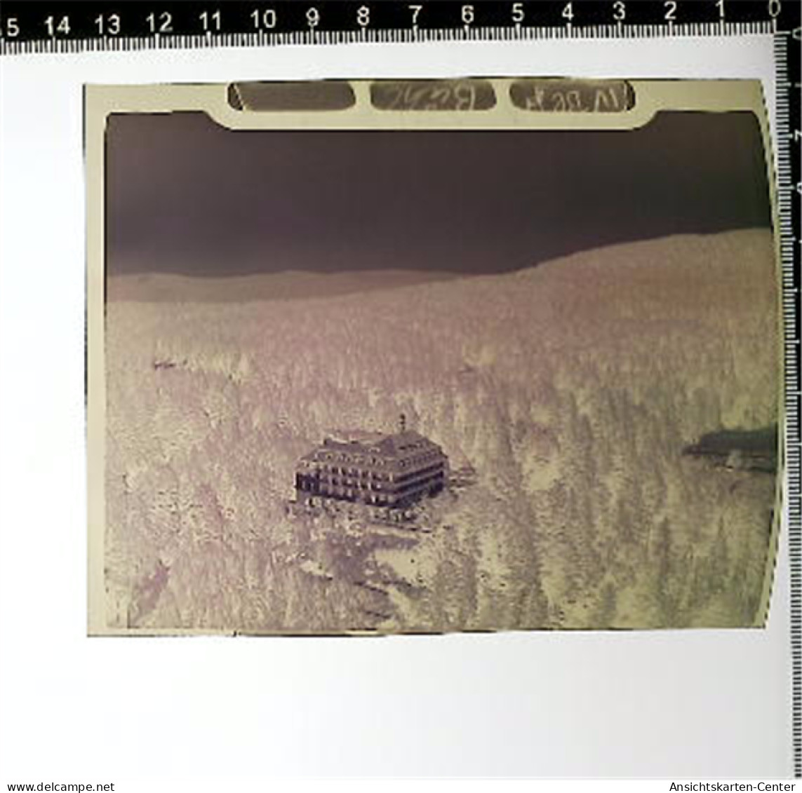 31005306 - Buehl , Baden