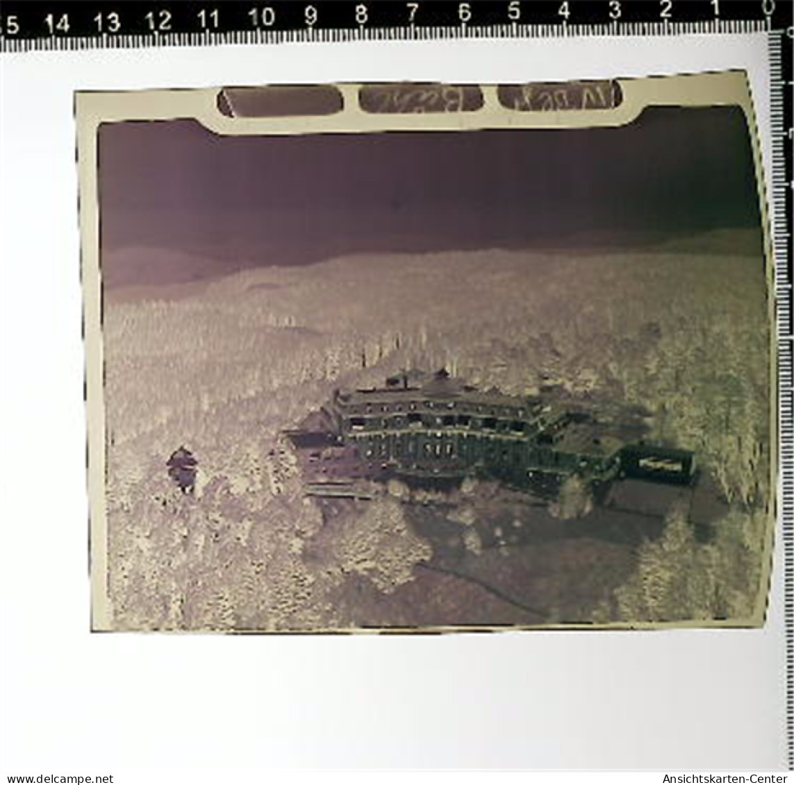 31005311 - Buehl , Baden