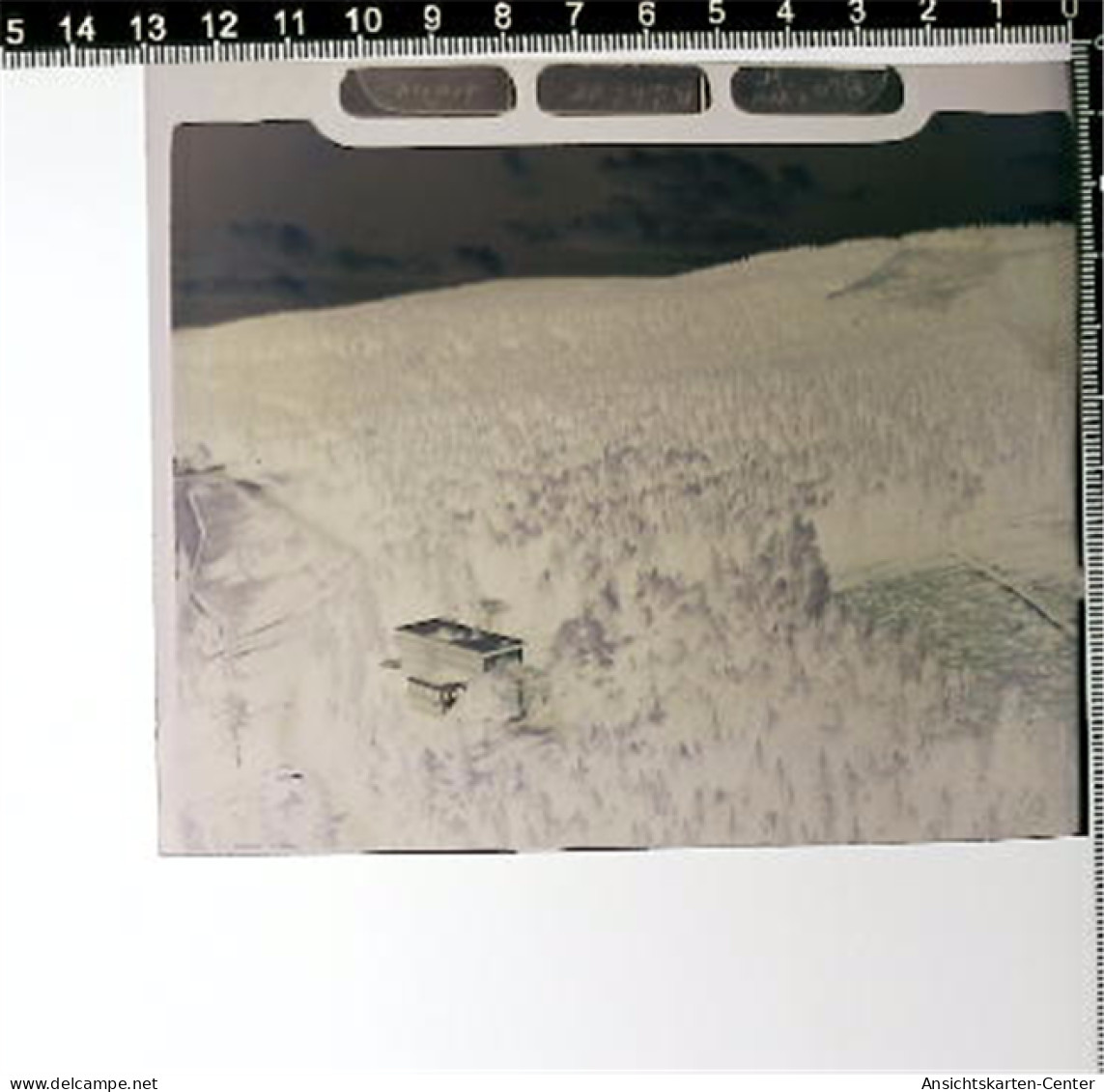 31005347 - Buehl , Baden