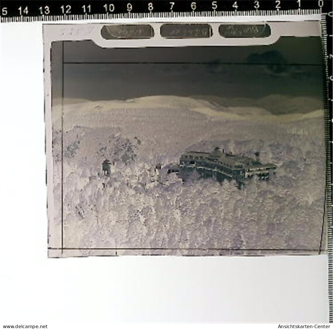 31005351 - Buehl , Baden